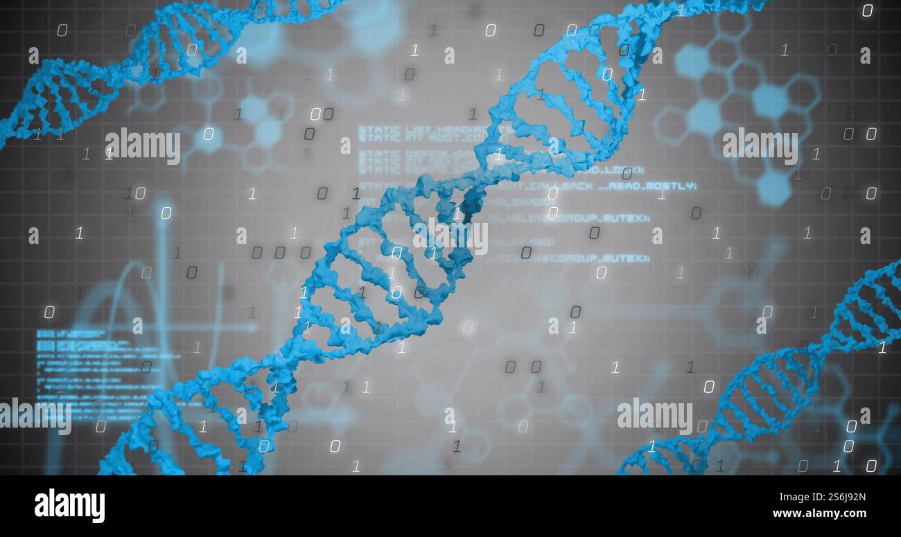 Immagine di filamenti di dna e di elaborazione di dati digitali con codifica binaria Foto Stock