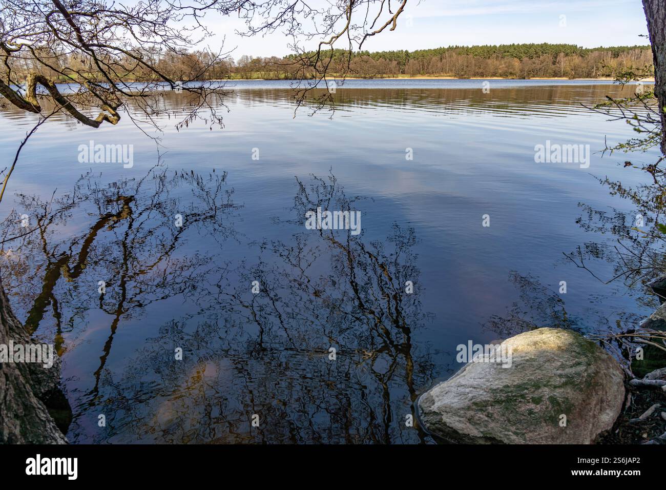Der Grünower SEE im Müritz-Nationalpark, Meclemburgo-Vorpommern, Deutschland | Lago Gruenow presso il Parco Nazionale di Müritz, Meclemburgo-Vorpommern, Germania Foto Stock
