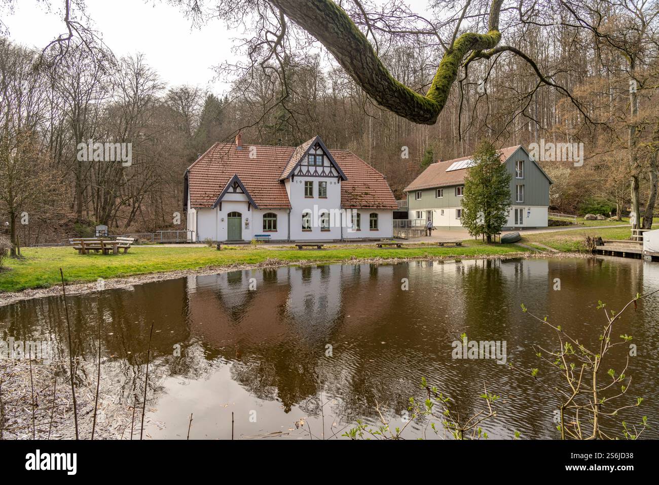 Steinmühle am Grünower SEE Das Jugendwaldheim Steinmühle am Grünower SEE im Müritz-Nationalpark bei Carpin, Meclemburgo-Vorpommern, Deutschland Forest Foto Stock