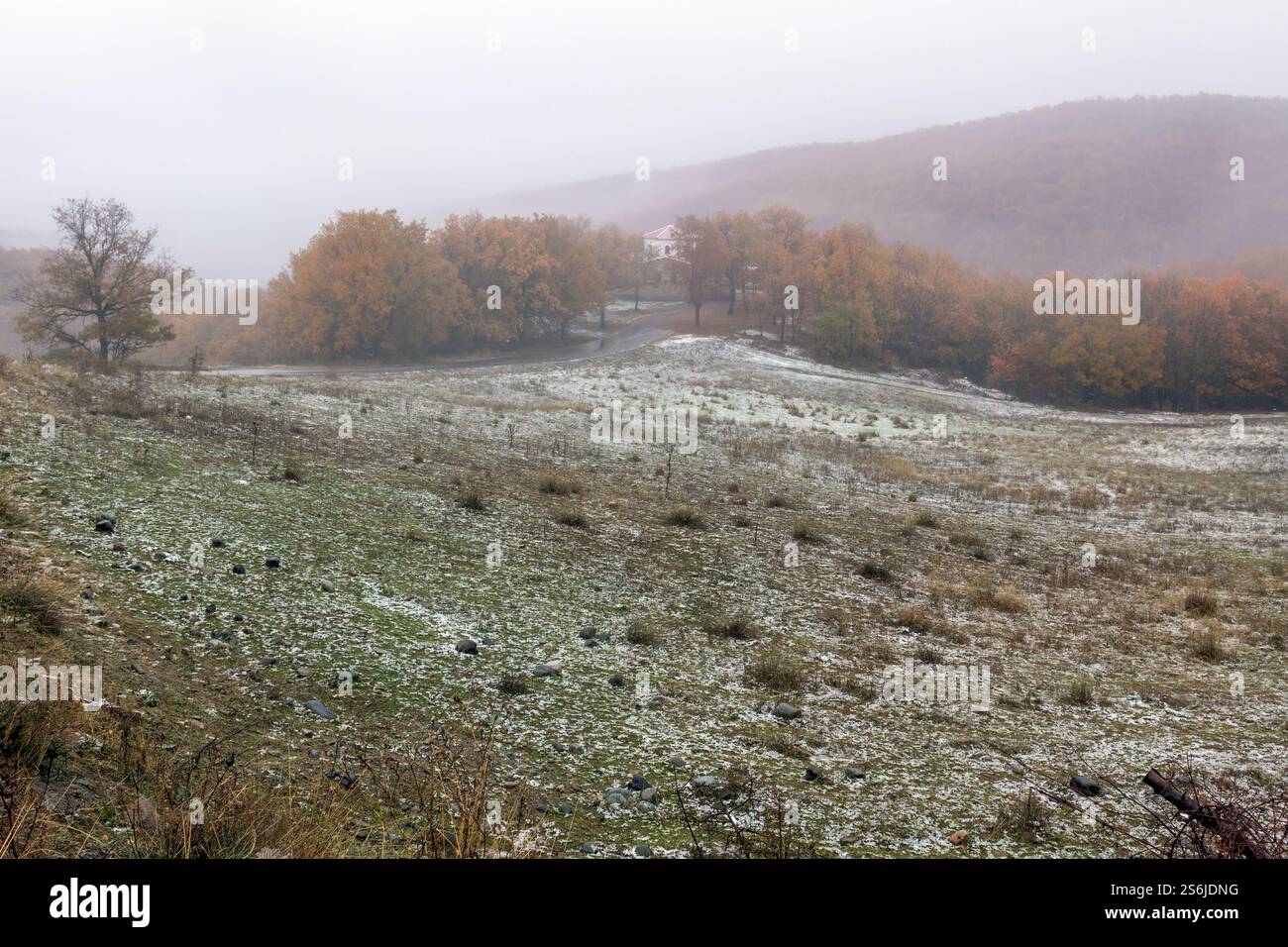 Paesaggio autunnale nebbioso con campi baciati dal gelo, vibranti alberi autunnali e una casa lontana circondata da colline ondulate. Un paese tranquillo e pittoresco. Foto Stock
