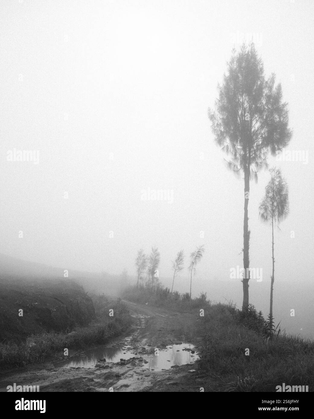 Silent Hill Foto Stock