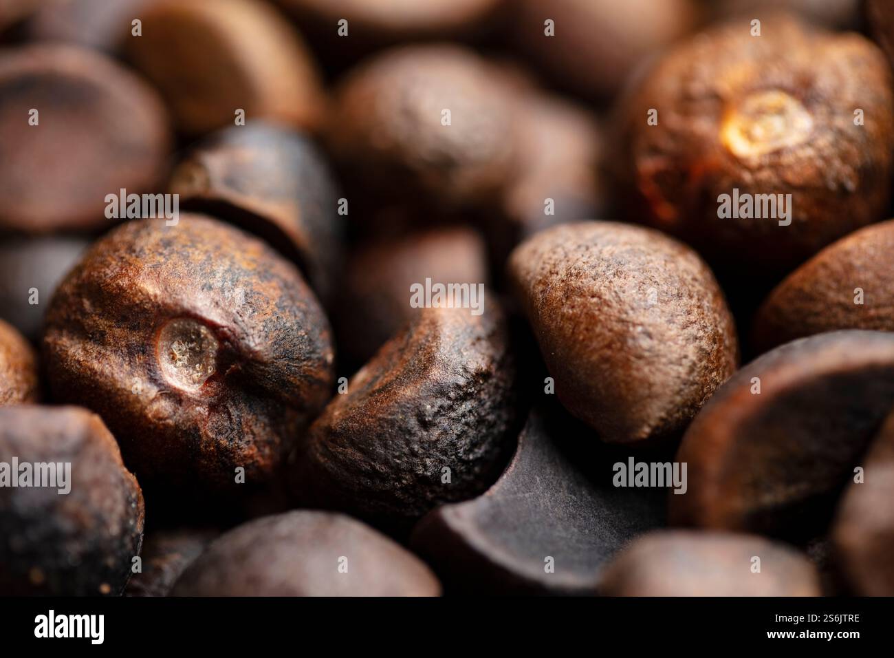 Semi tradizionali cinesi di Camellia oleifera Foto Stock