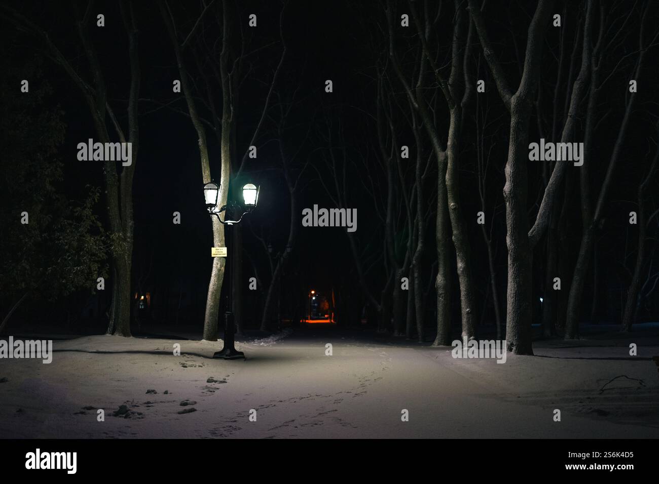 paesaggio notturno invernale. Foto di alta qualità Foto Stock