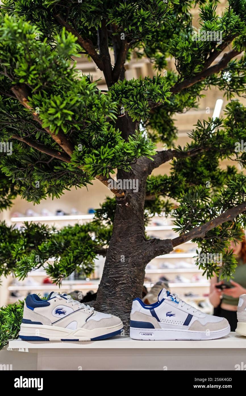 Sneakers Lacoste all'interno di un negozio di scarpe sportive. Scarpe sportive alla moda. Minsk, Bielorussia - 1 giugno 2024 Foto Stock