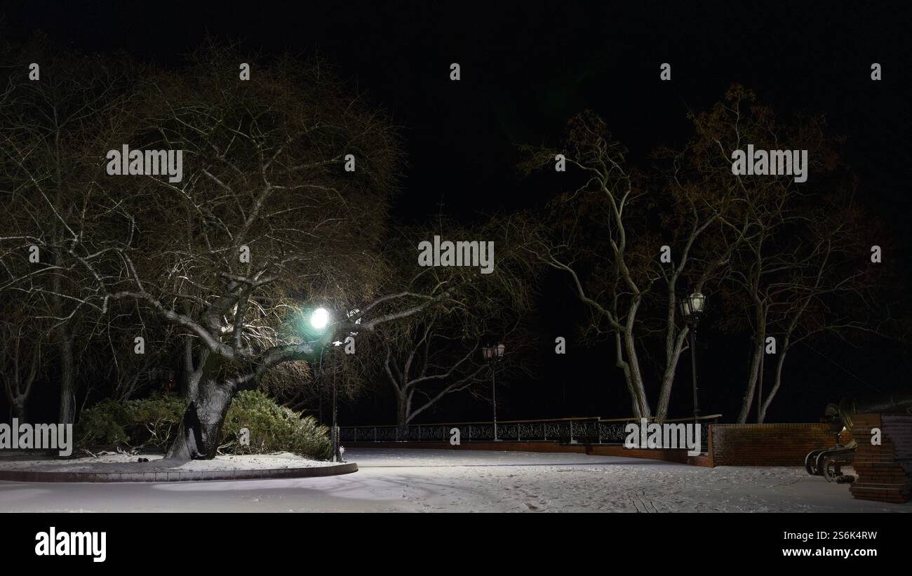 paesaggio notturno invernale. Foto di alta qualità Foto Stock