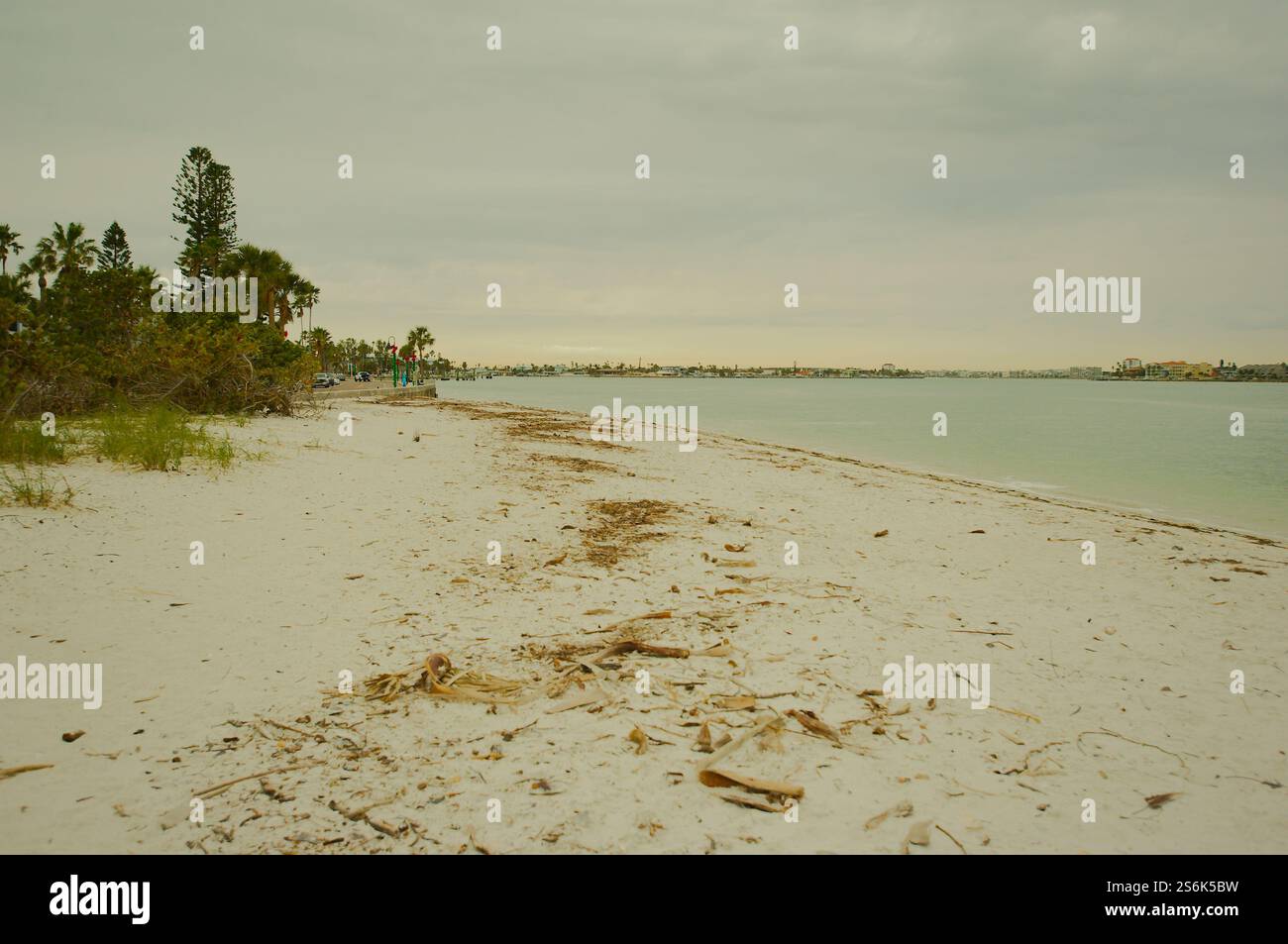 Leading Lines Beach e acqua a nord a Pass A Grille Dog Beach. Guardando verso Bay Channel. Sulla sabbia e sull'avena verde del mare. St. Pete Beach, Florida Foto Stock