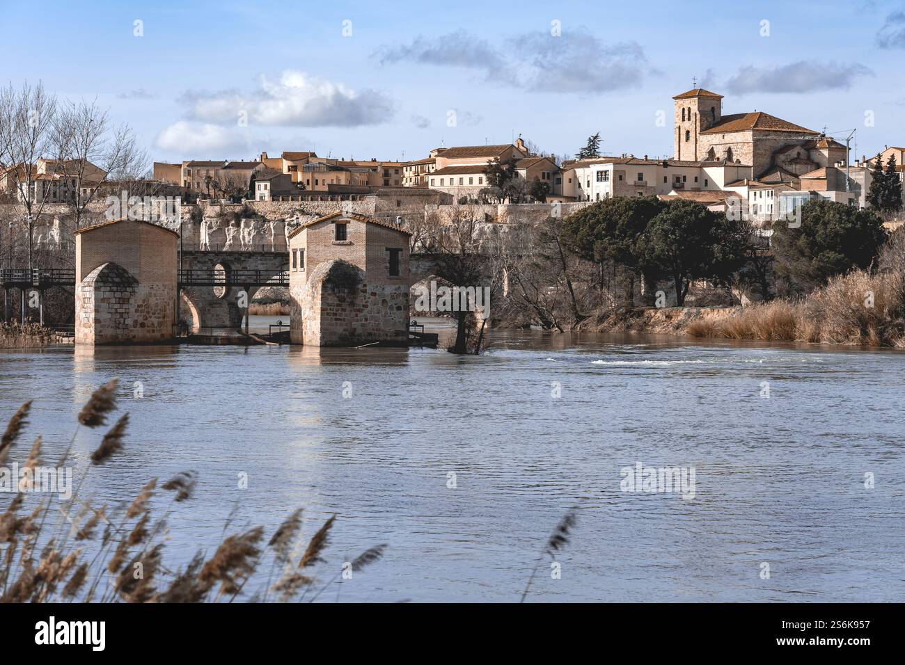 Vista della città di Zamora con il fiume Duero e i mulini ad acqua e la chiesa di San Pedro sullo sfondo. Spagna Foto Stock