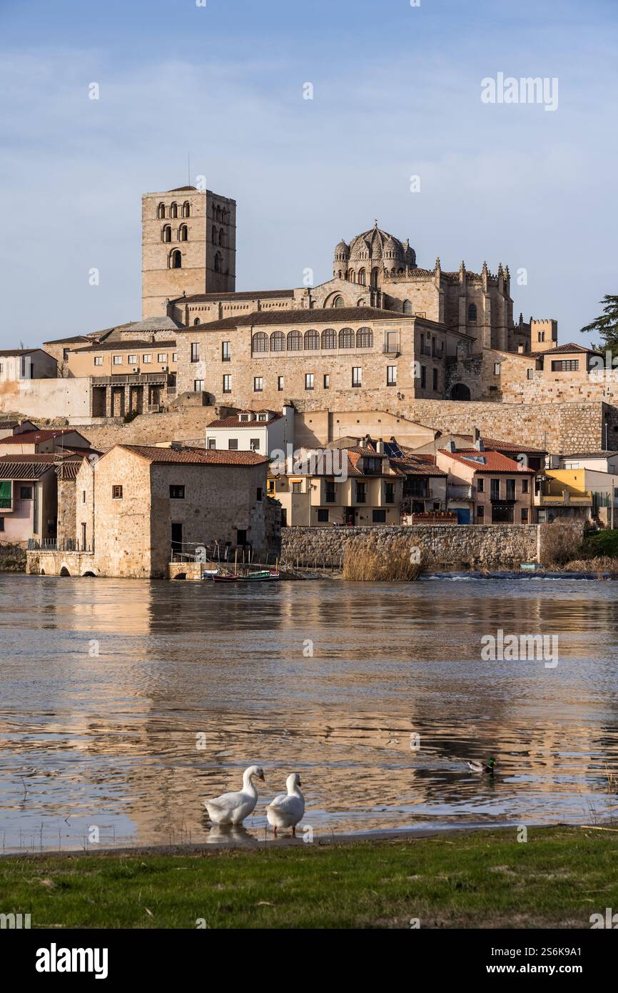 ZAMORA, SPAGNA - 02 FEBBRAIO 2020: Cattedrale romanica di Zamora e campanili dal fiume Duero. Spagna Foto Stock