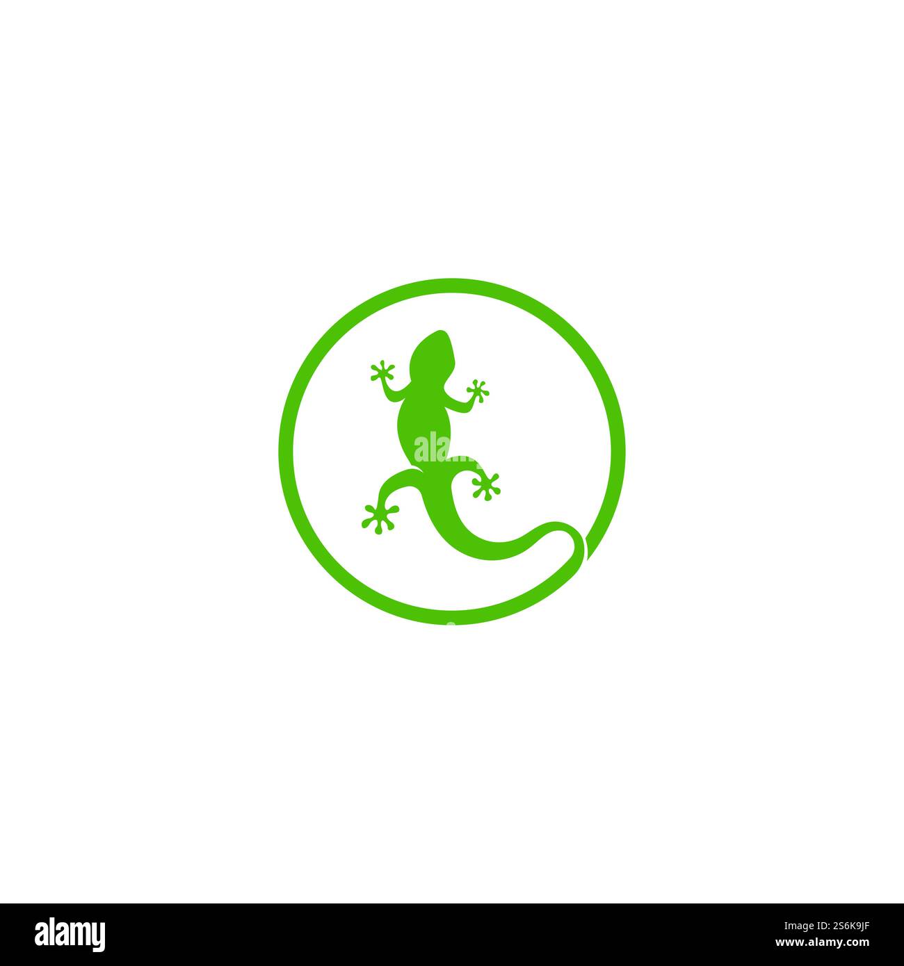 Logo color camaleonte Lizard o disegno vettoriale modello icona Illustrazione Vettoriale