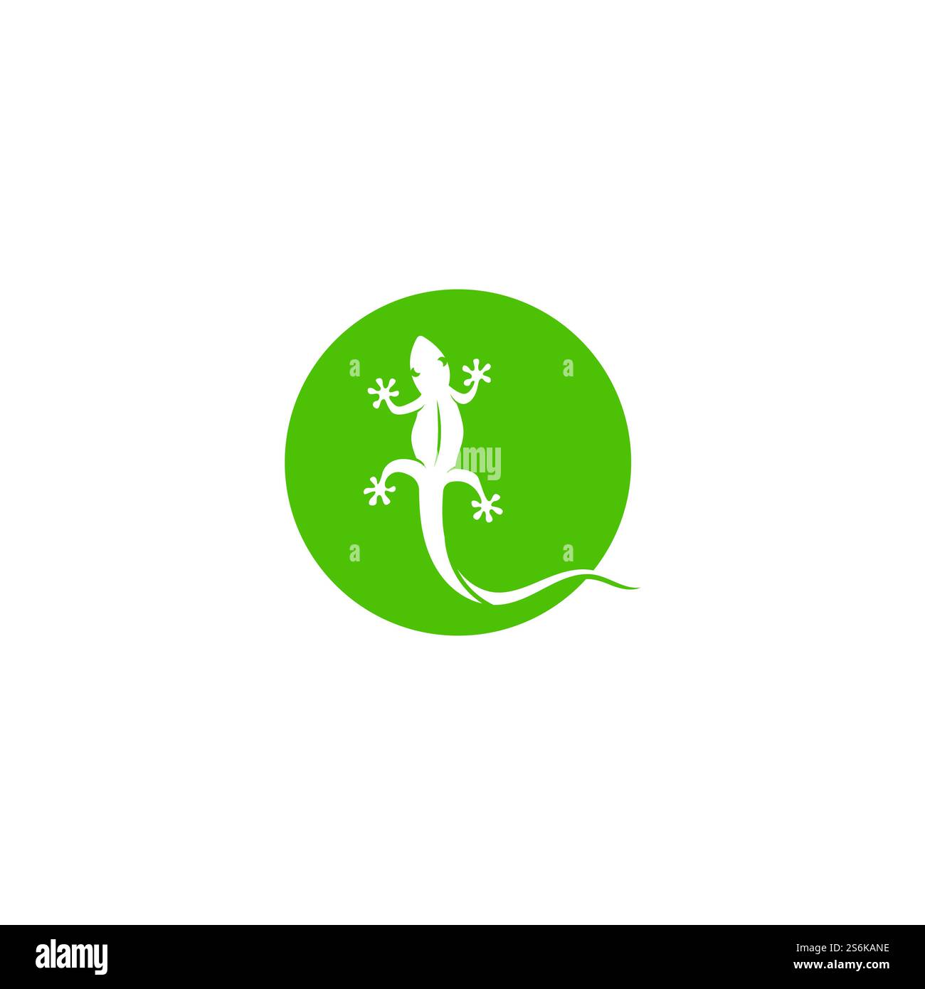 Logo color camaleonte Lizard o disegno vettoriale modello icona Illustrazione Vettoriale