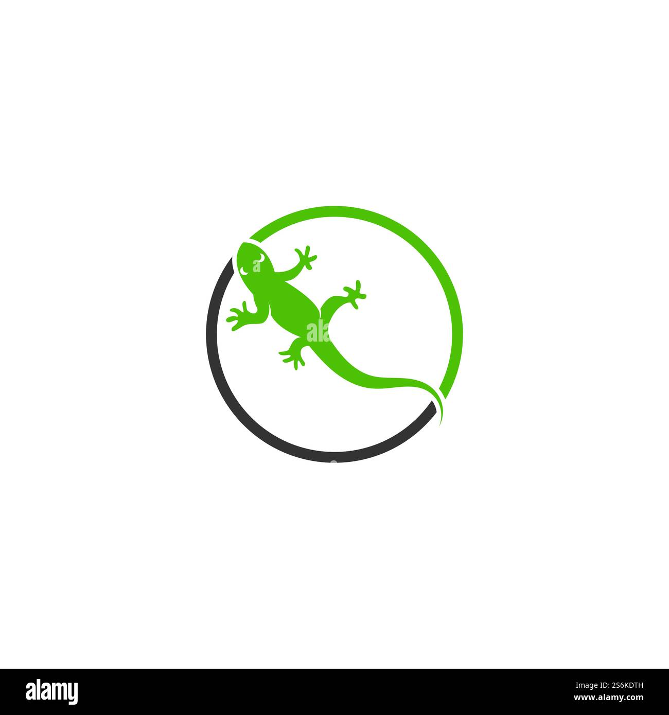 Logo color camaleonte Lizard o disegno vettoriale modello icona Illustrazione Vettoriale