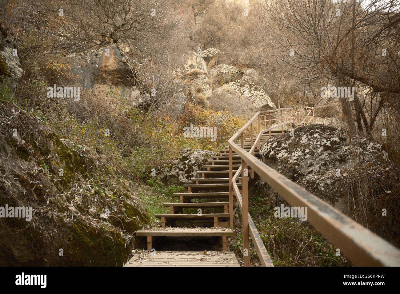 Una scala in legno circondata da alberi autunnali e rocce in una zona montuosa Foto Stock Una scala in legno circondata da alberi autunnali e rocce in una zona montuosa Foto Stock