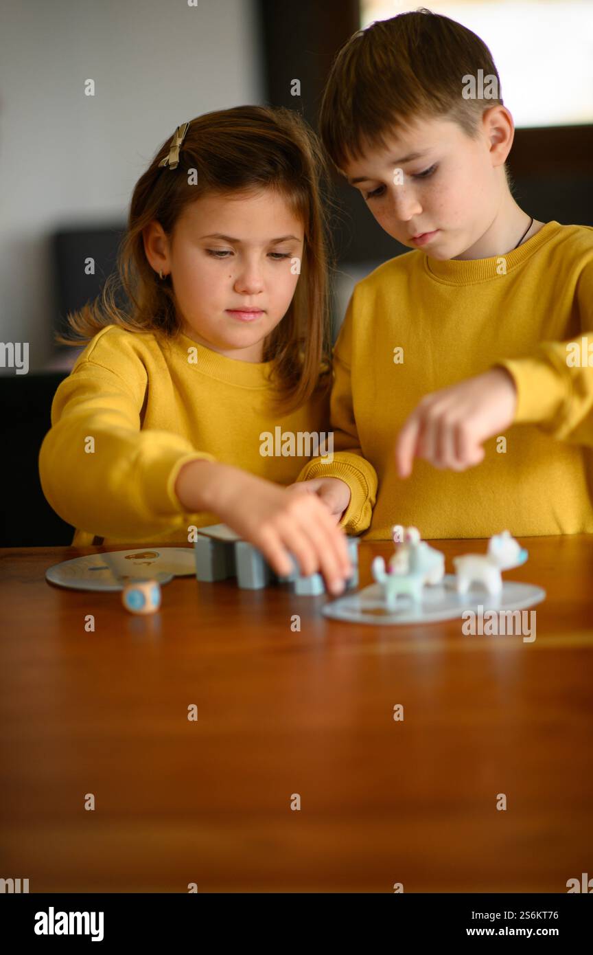 Un ragazzo e una ragazza giocano a giochi da tavolo a casa, godendosi il loro tempo insieme. Foto Stock