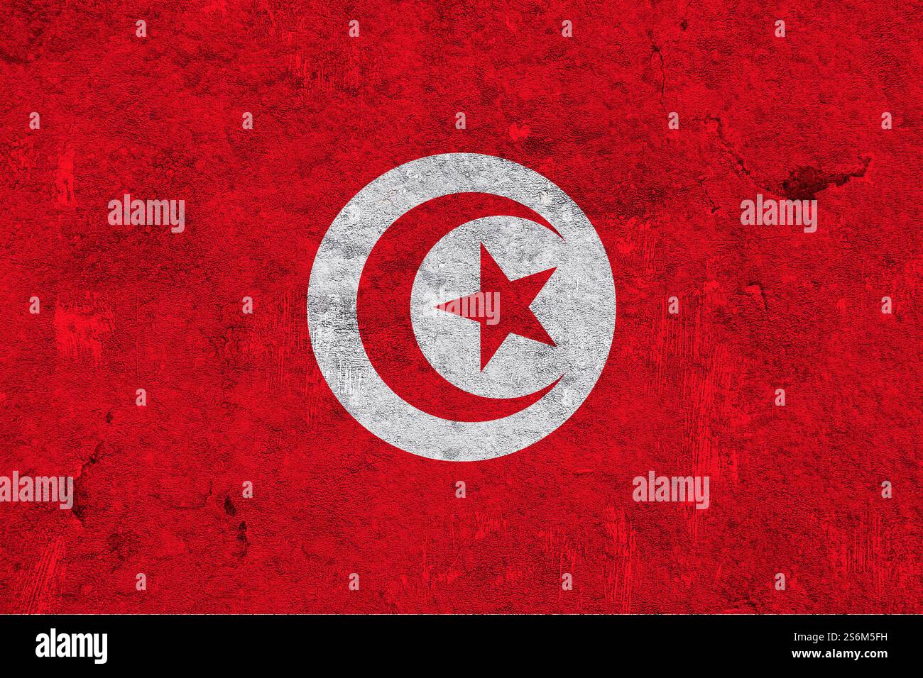 Bandiera tunisina su cemento intemprato Foto Stock