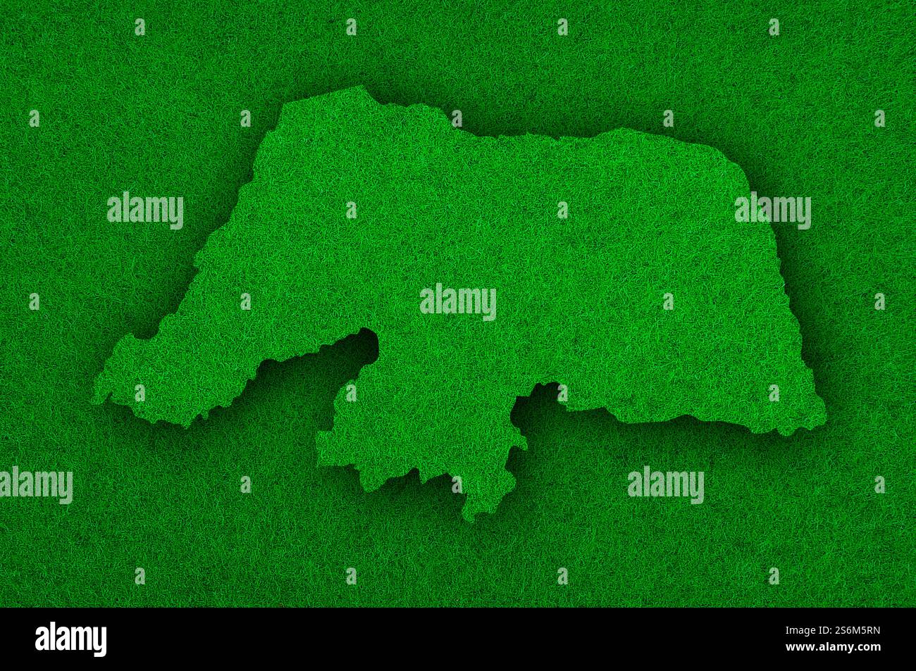 Mappa di Rio Grande do Norte su feltro verde Foto Stock