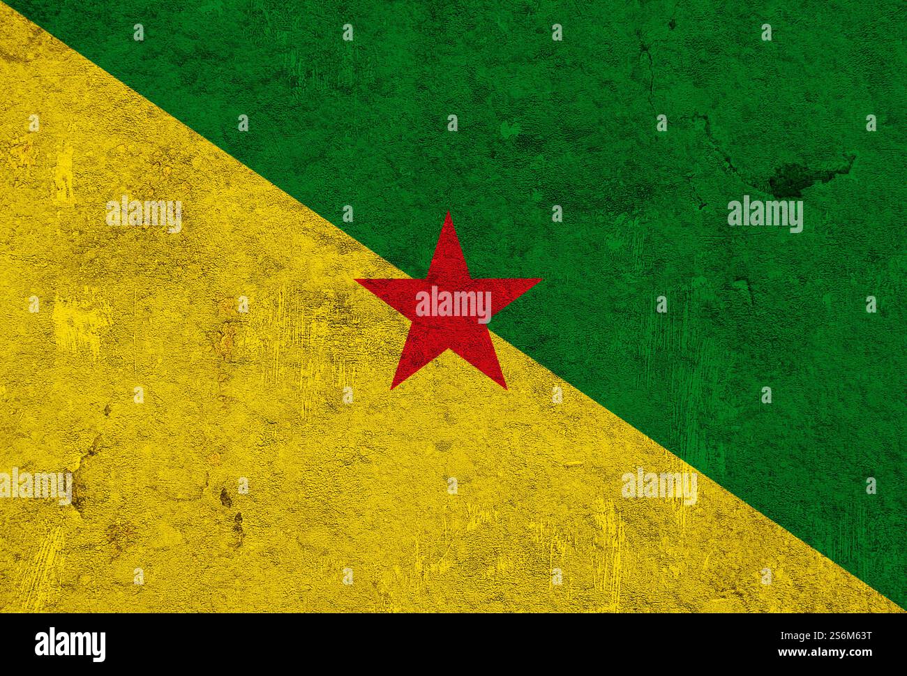 Bandiera della Guyana francese su cemento stagionato Foto Stock