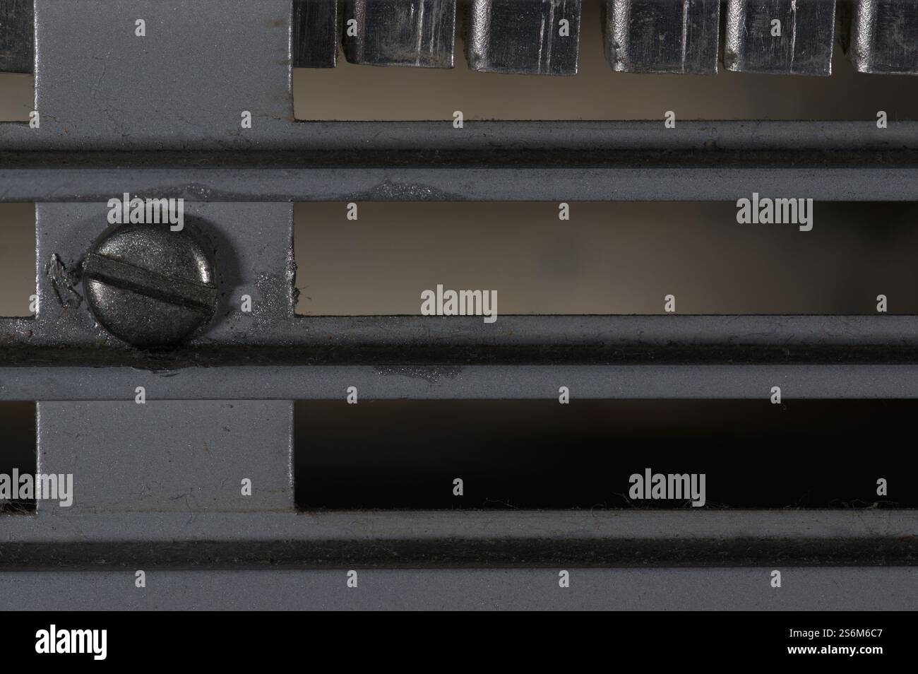 Primo piano di una vite a taglio in una griglia metallica Foto Stock