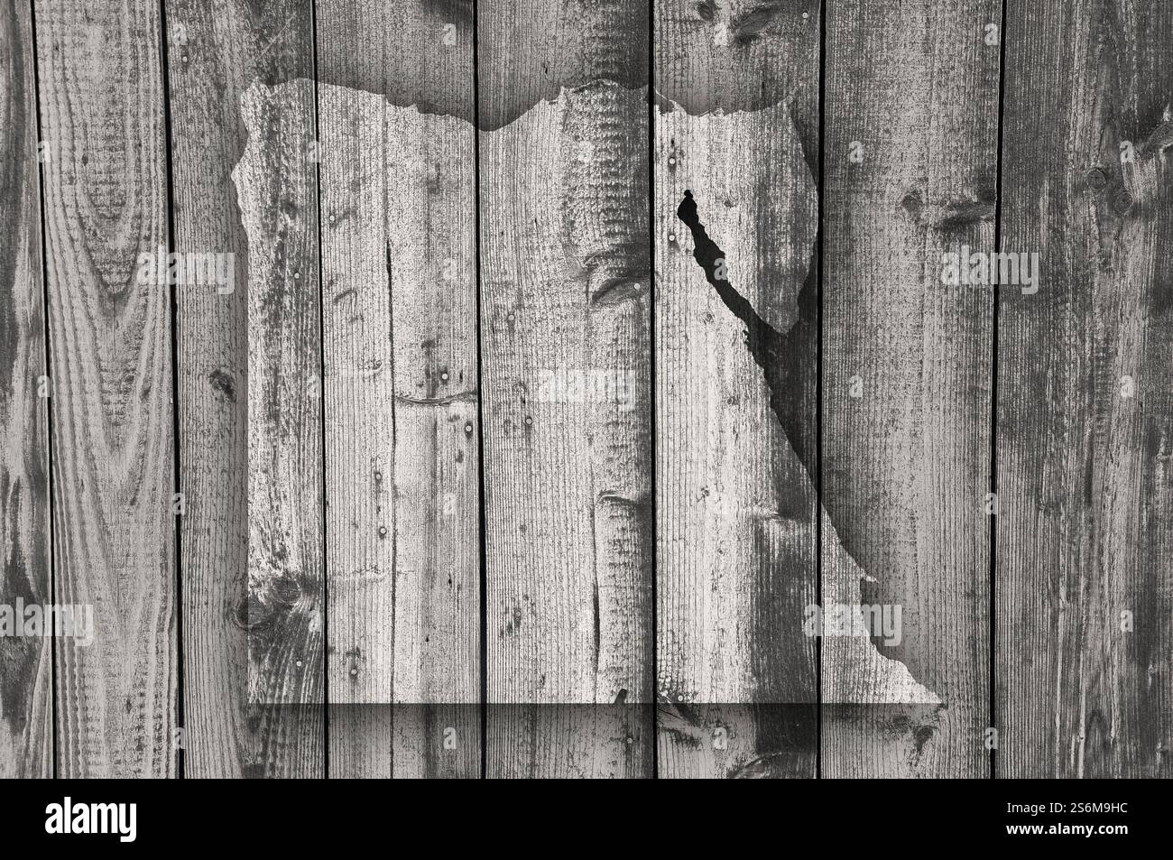 Mappa di Egitto su legno stagionato Foto Stock