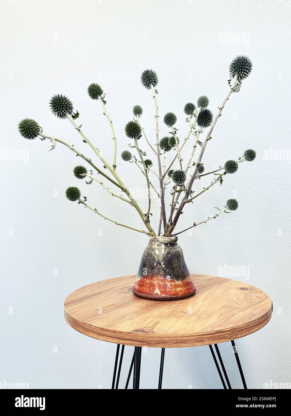 Una disposizione di fiori di echinops essiccati in un vaso su un tavolino all'interno di una casa. - Immagine stock catturata con smartphone