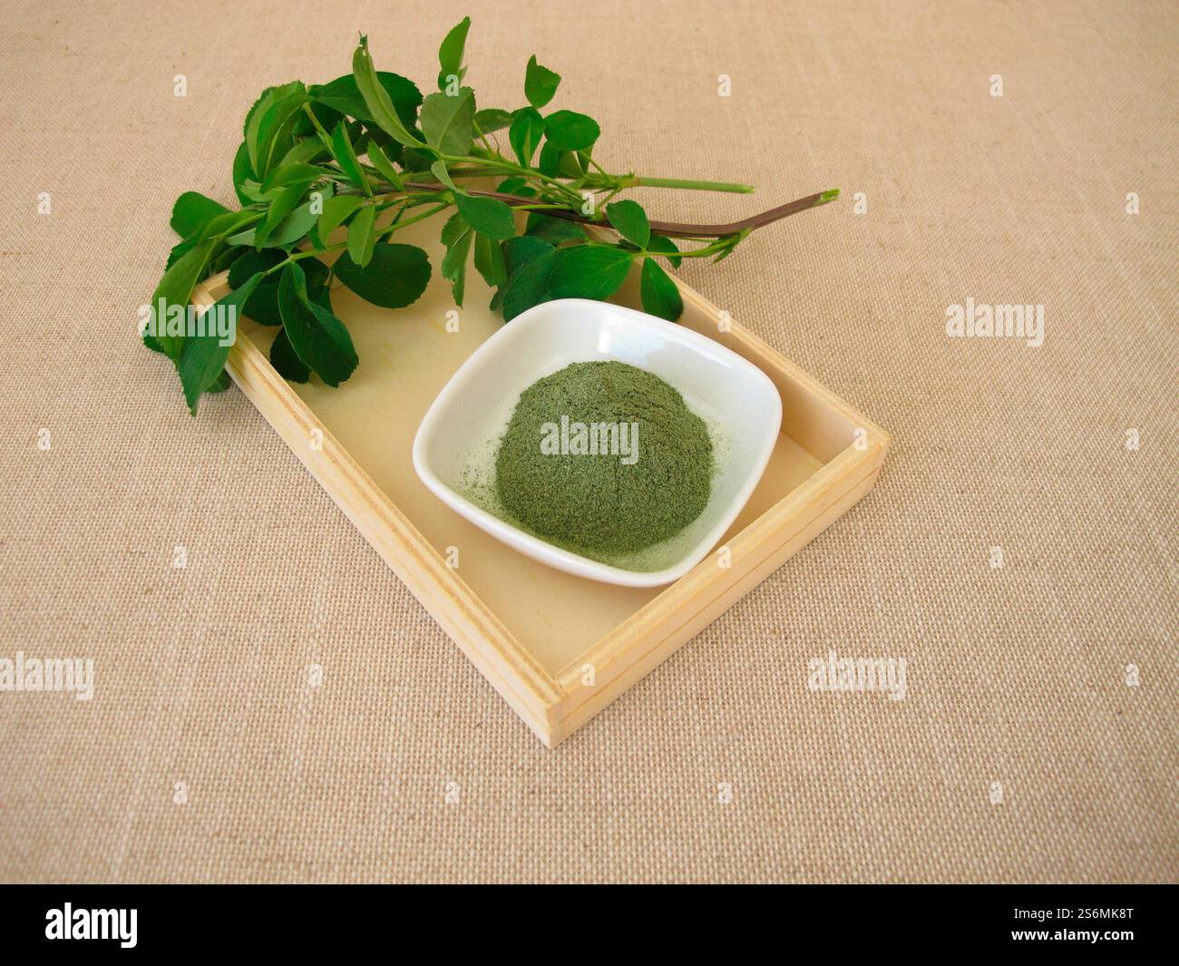 Polvere di erba medica verde, polvere dalle foglie di erba medica Foto Stock
