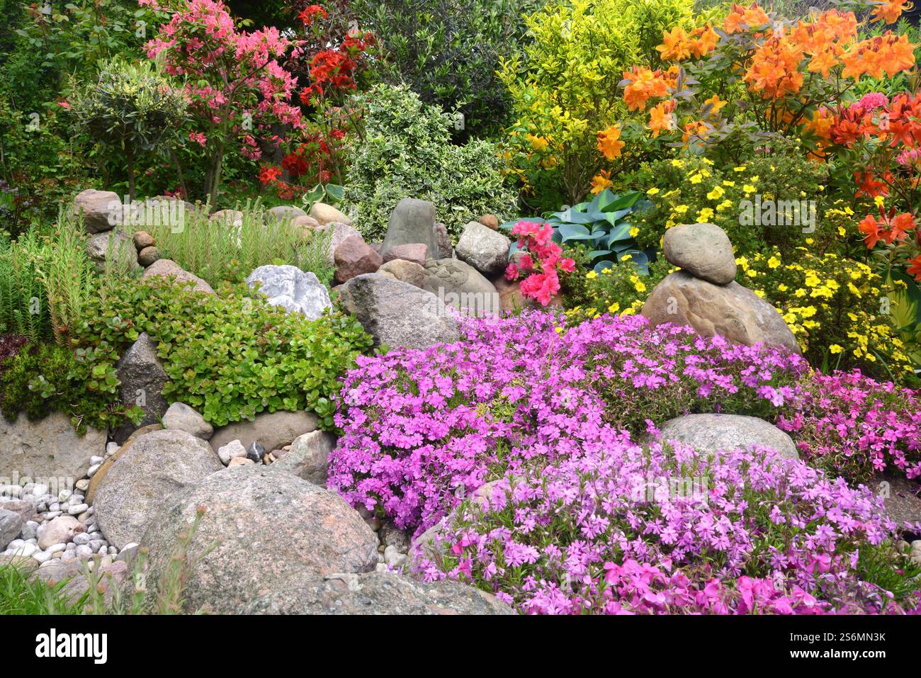 Giardino di roccia in primavera Foto Stock