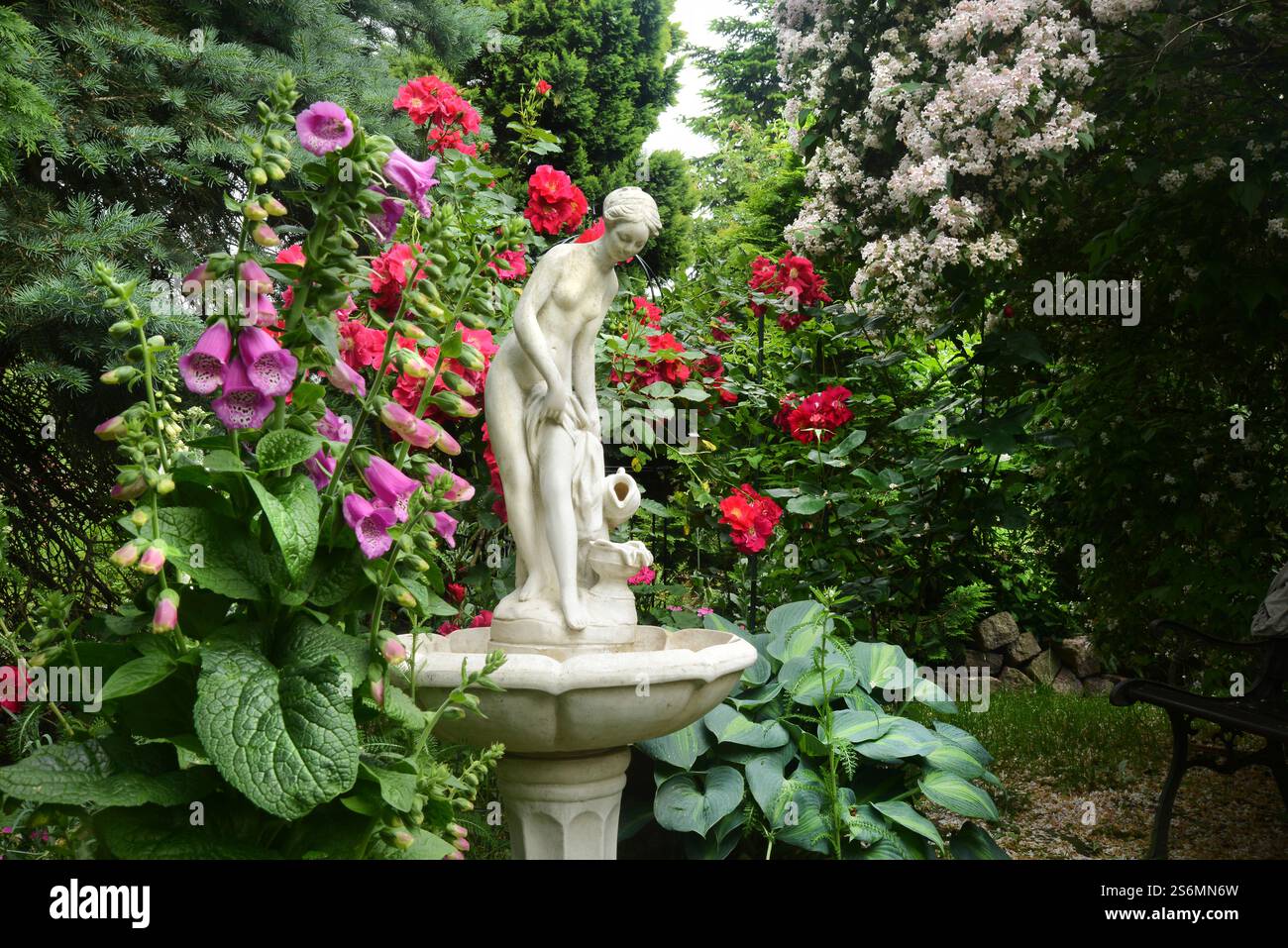 Fontana in giardino con rose Foto Stock