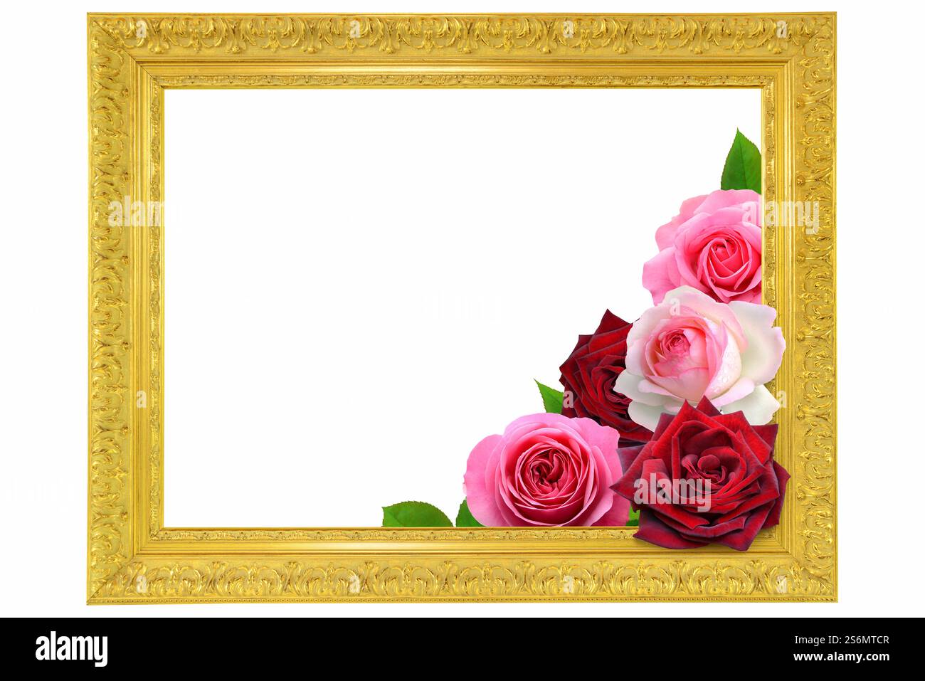 Cornice dorata con rose Foto Stock