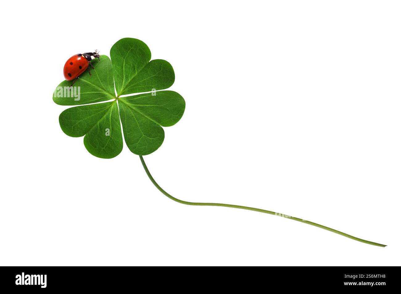 Afie 68-1039-A Biglietto Auguri Con Busta – Coccinella In Legno Dipinta A Mano – 11,5x17 Cm