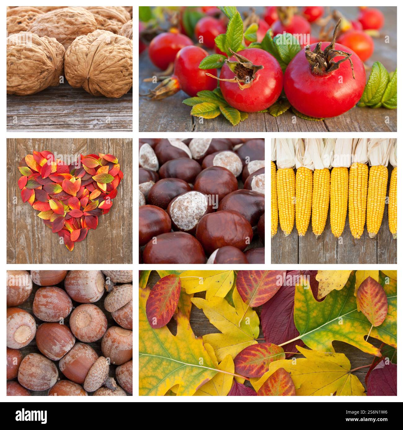 Il collage con motivi autunnali Foto Stock