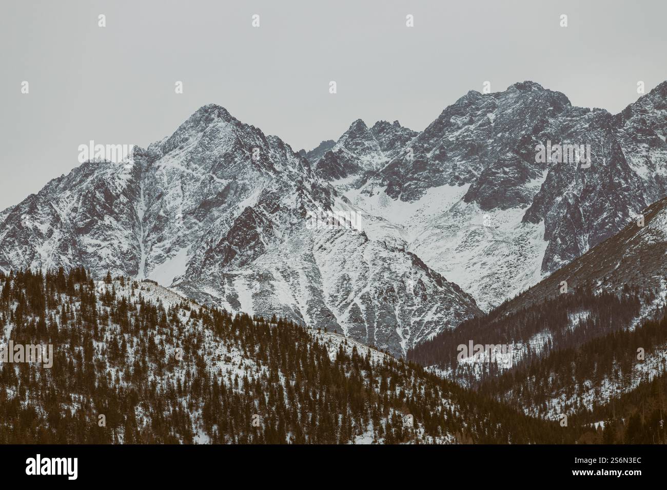 Le alte montagne Tatra sono ricoperte di neve. Vacanze in Polonia. Destinazione del viaggio. Vacanze in Polonia. Escursioni e sci in montagna. Parco nazionale Tatra. Foto Stock