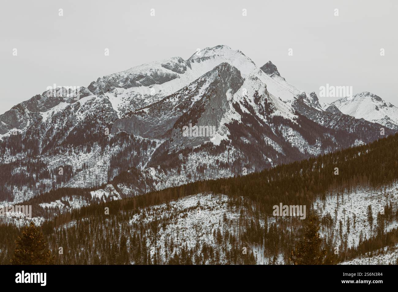 Le alte montagne Tatra sono ricoperte di neve. Vacanze in Polonia. Destinazione del viaggio. Vacanze in Polonia. Escursioni e sci in montagna. Parco nazionale Tatra. Foto Stock