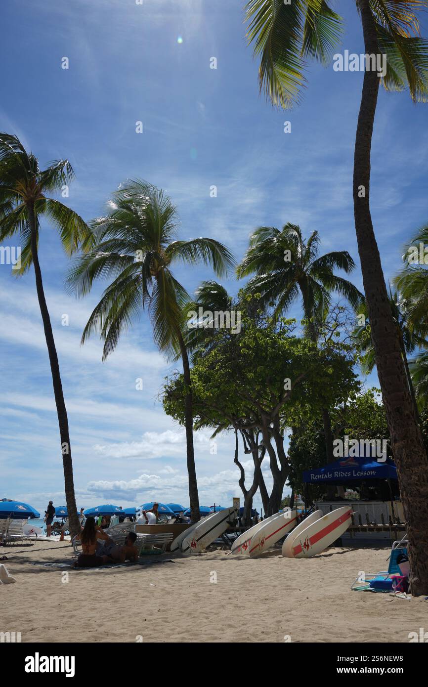 Spiaggia tropicale a Waikiki Beach, Oahu, Hawaii, con tavole da surf allineate sotto palme, cieli blu e vibranti vibrazioni da spiaggia. Foto Stock