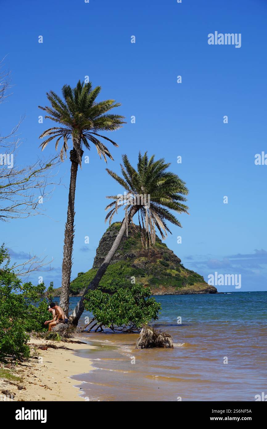 Vista panoramica del cappello di Chinaman (Mokolii) su Oahu, Hawaii, con palme pendenti, cieli azzurri e una tranquilla spiaggia tropicale Foto Stock