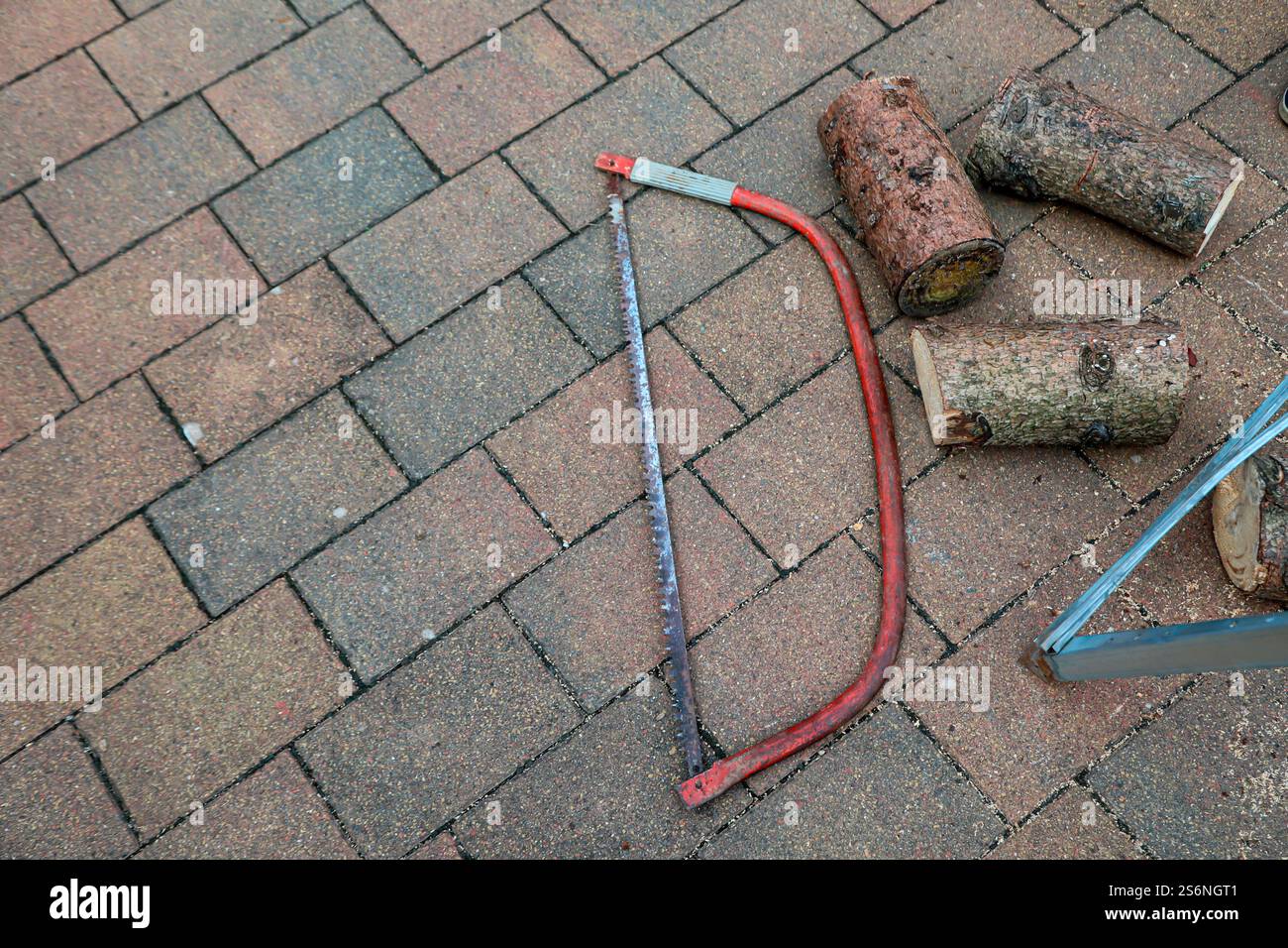 Dettagli di un seghetto con tronco e sega durante un matrimonio Foto Stock