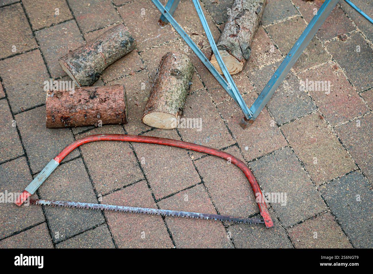 Dettagli di un seghetto con tronco e sega durante un matrimonio Foto Stock