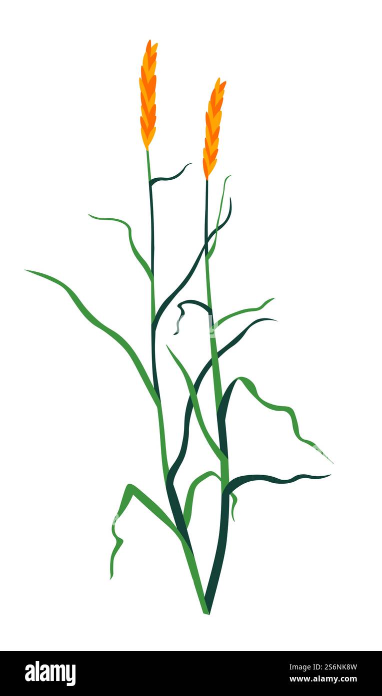 Pianta di fiori selvatici con fogliame e fiori, mucchio isolato di botanica floristica. Vegetazione e natura selvaggia, rami fiorenti e ramoscelli in fiore. Rilancio della stagione primaverile. Vettore in stile piatto. Pianta di fiori selvatici con fogliame e flora Illustrazione Vettoriale Pianta di fiori selvatici con fogliame e fiori, mucchio isolato di botanica floristica. Vegetazione e natura selvaggia, rami fiorenti e ramoscelli in fiore. Rilancio della stagione primaverile. Vettore in stile piatto. Pianta di fiori selvatici con fogliame e flora Illustrazione Vettoriale