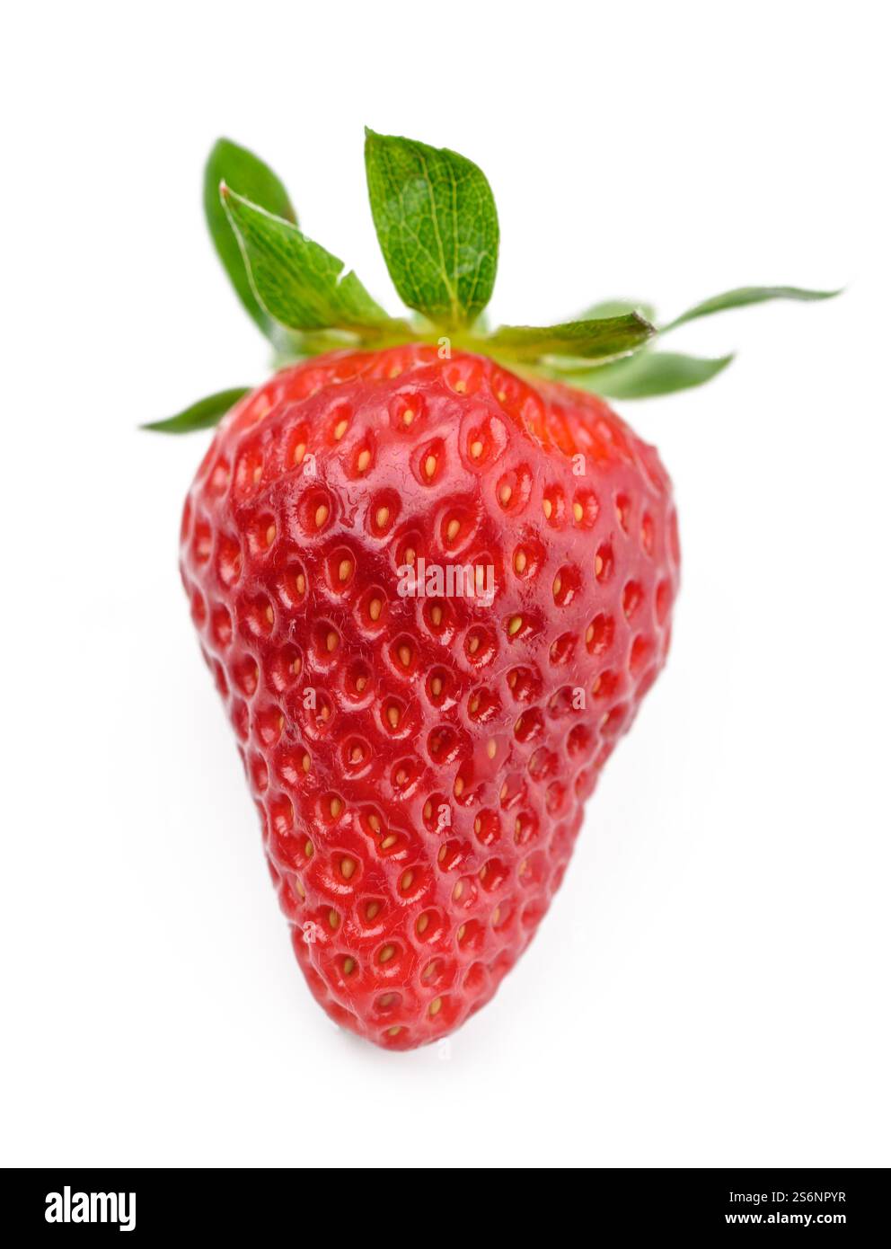 La fragola matura sfoggia un colore rosso brillante e una texture brillante, illuminata dalla luce soffusa del sole in un ambiente lussureggiante. Foto Stock