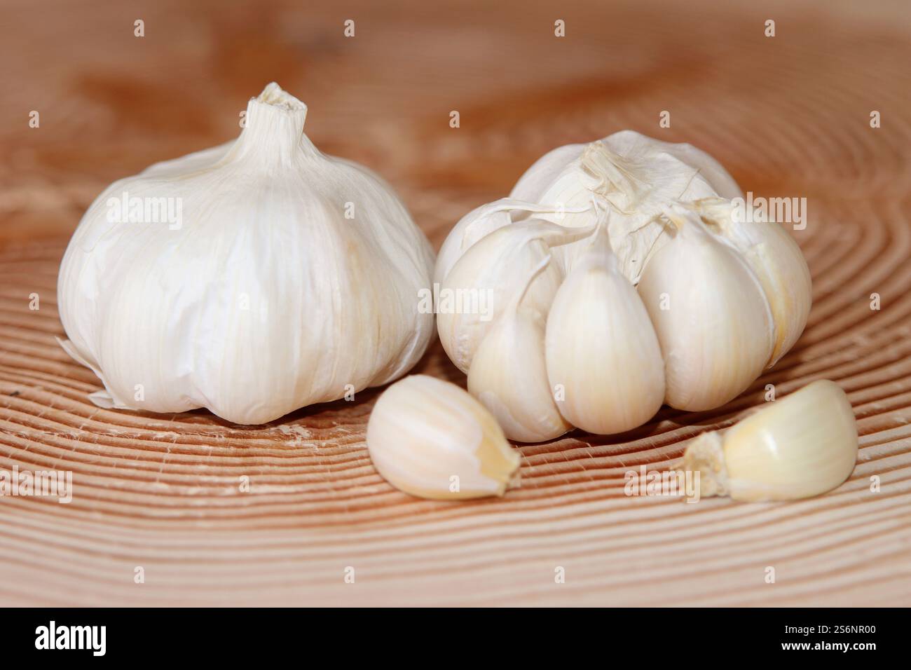 Aglio fresco Foto Stock