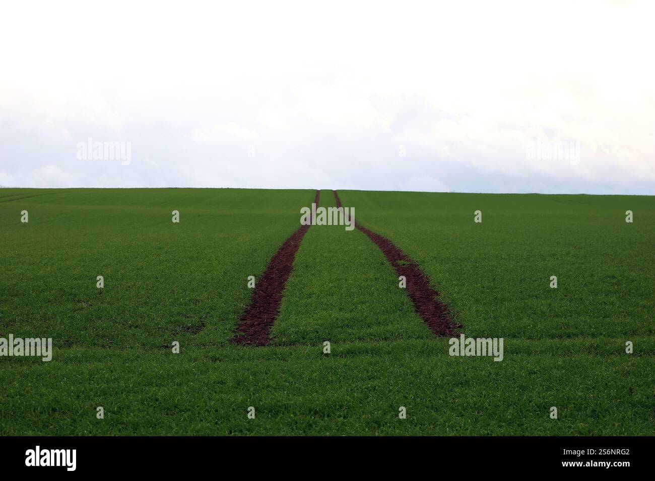 Pista per auto sul campo Foto Stock