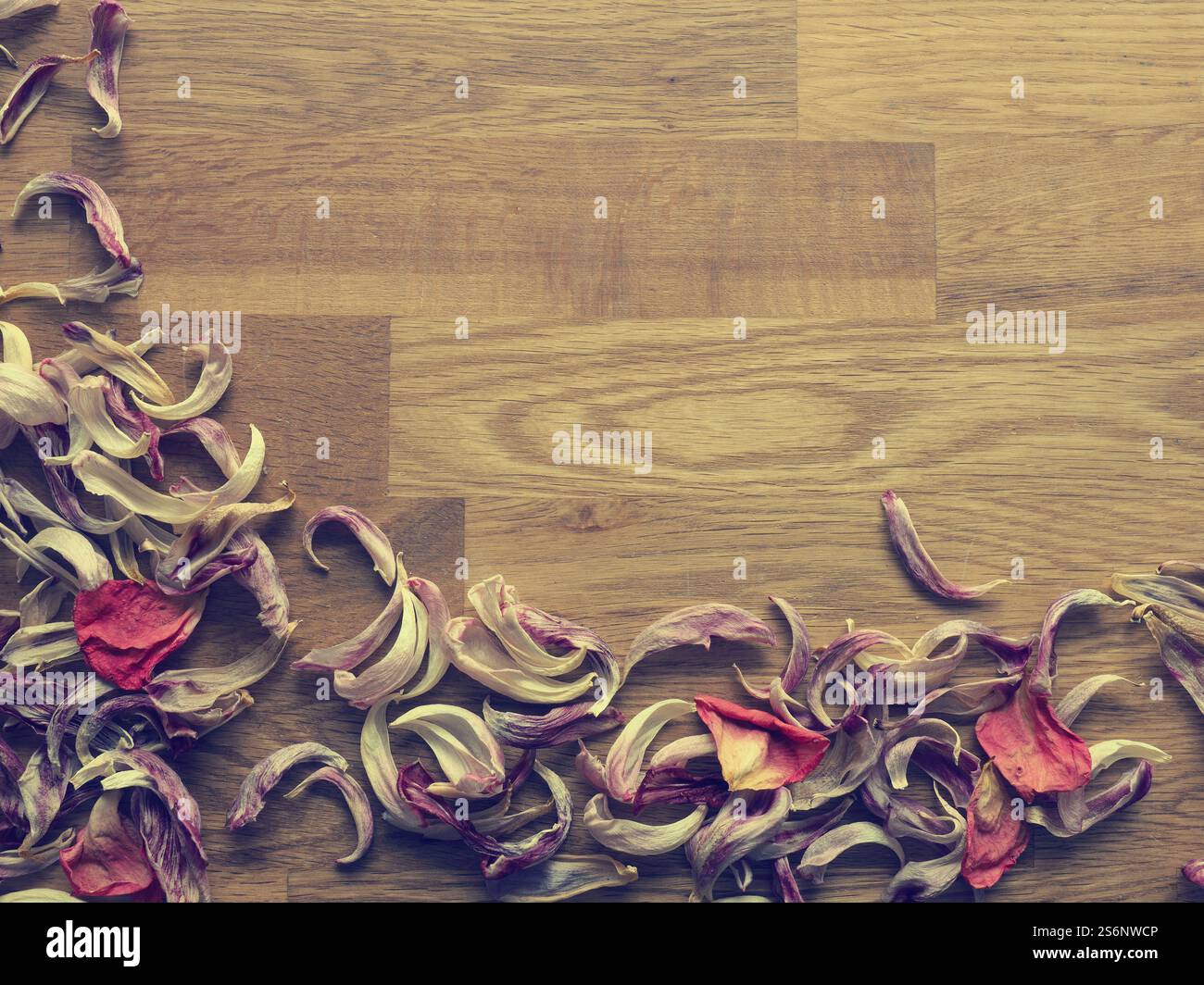 Autunno o ringraziamento sfondo con spazio per il testo o immagine retrò stilizzato di pellicola Foto Stock