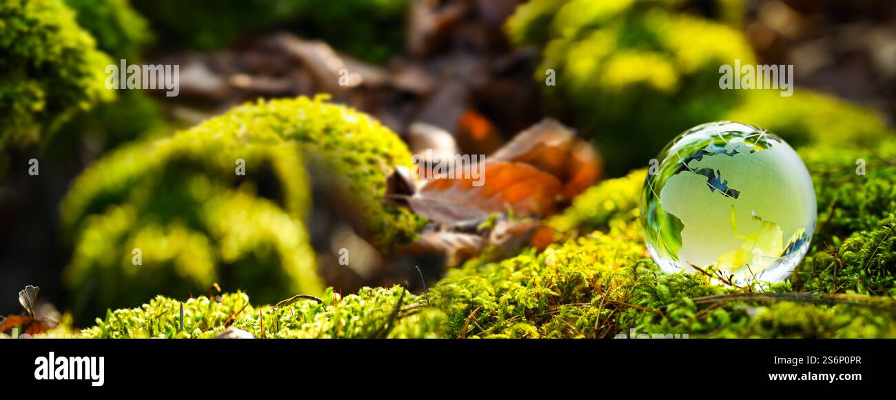 Rispettoso dell'ambiente, ecologia e sostenibilità. Mappa del globo della terra verde con europa e africa continente con foglie verdi e foresta di moos. Foto Stock