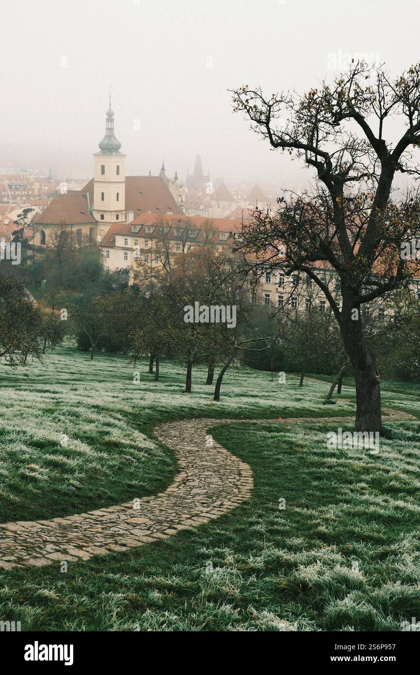 Mattina nebbiosa in un tranquillo parco con un bellissimo sentiero acciottolato sotto le nuvole Foto Stock