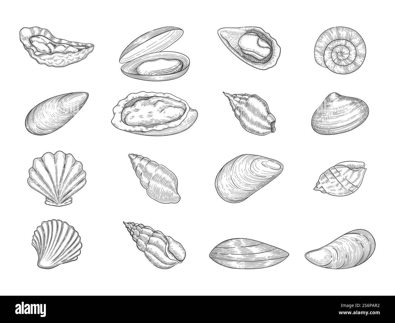 Ostriche. Prodotti gourmet di pesce, conchiglie fresche naturali, collezione di doodle vettoriali. Menu a base di pesce, cucina deliziosa o illustrazione preparata con delicatezza. Ostriche. Prodotti gourmet di pesce, conchiglie fresche naturali, collezione di doodle vettoriali Illustrazione Vettoriale