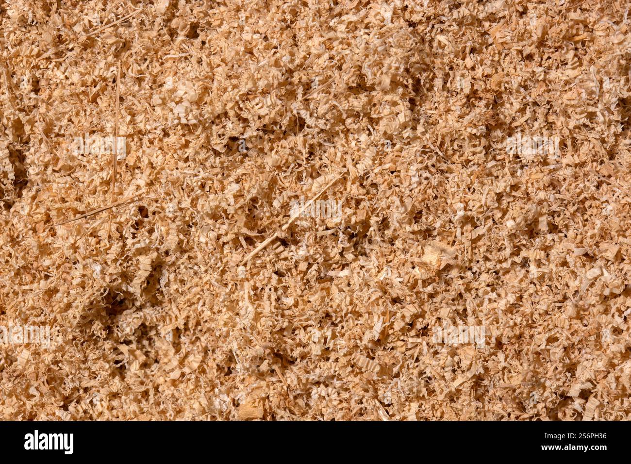 Pila di segatura di legno assortita da utilizzare come sfondo. Materiale eco biodegradabile Foto Stock