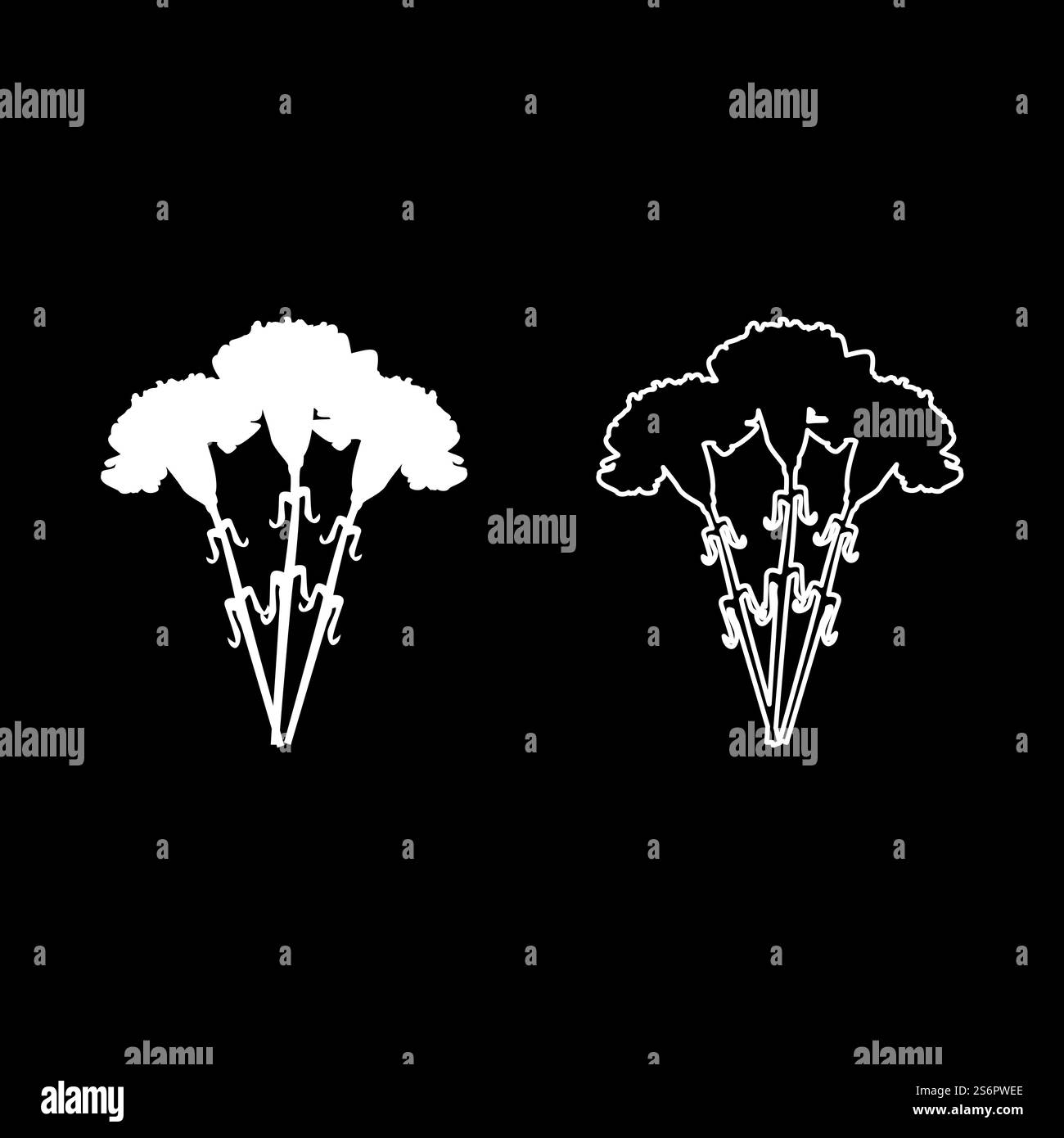 Mazzo di fiori icona garofano colore bianco illustrazione vettoriale stile piatto semplice set di immagini. Mazzo di fiori icona garofano colore bianco illustrazione vettoriale set di immagini in stile piatto Illustrazione Vettoriale