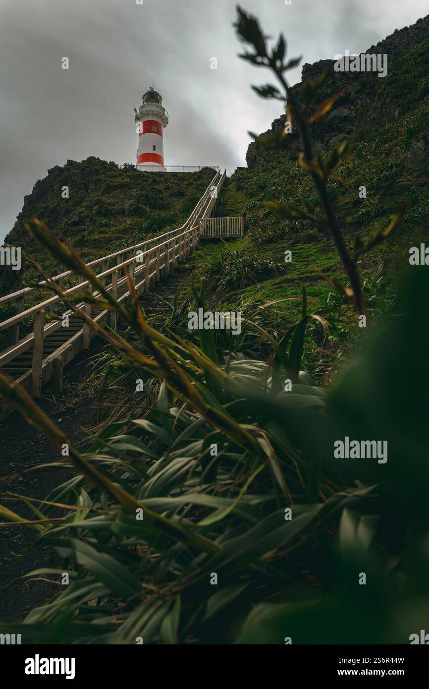 Vista del faro a strisce rosse e bianche a Cap Palliser, il punto più meridionale dell'Isola del Nord della nuova Zelanda. La piattaforma di osservazione può essere raggiunta tramite 253 su una lunga scala in legno. Foto Stock