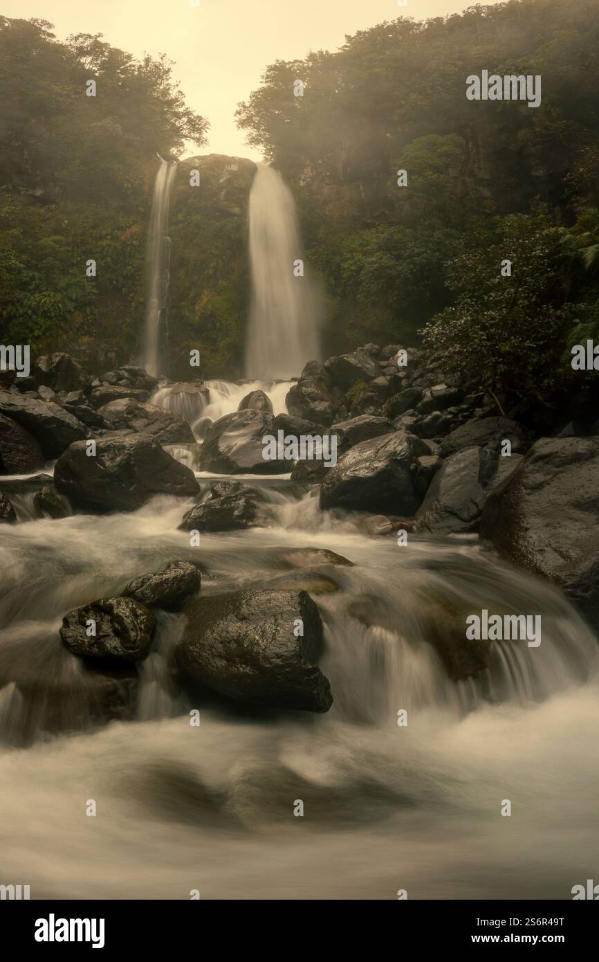 La cascata di Dawson Falls, alta 18 metri, scende nel Parco Nazionale del Monte Egmont, sull'Isola del Nord della nuova Zelanda, ai margini del vulcano Taranaki. Rocce e fitta foresta pluviale fiancheggiano le rive del fiume. Foto Stock