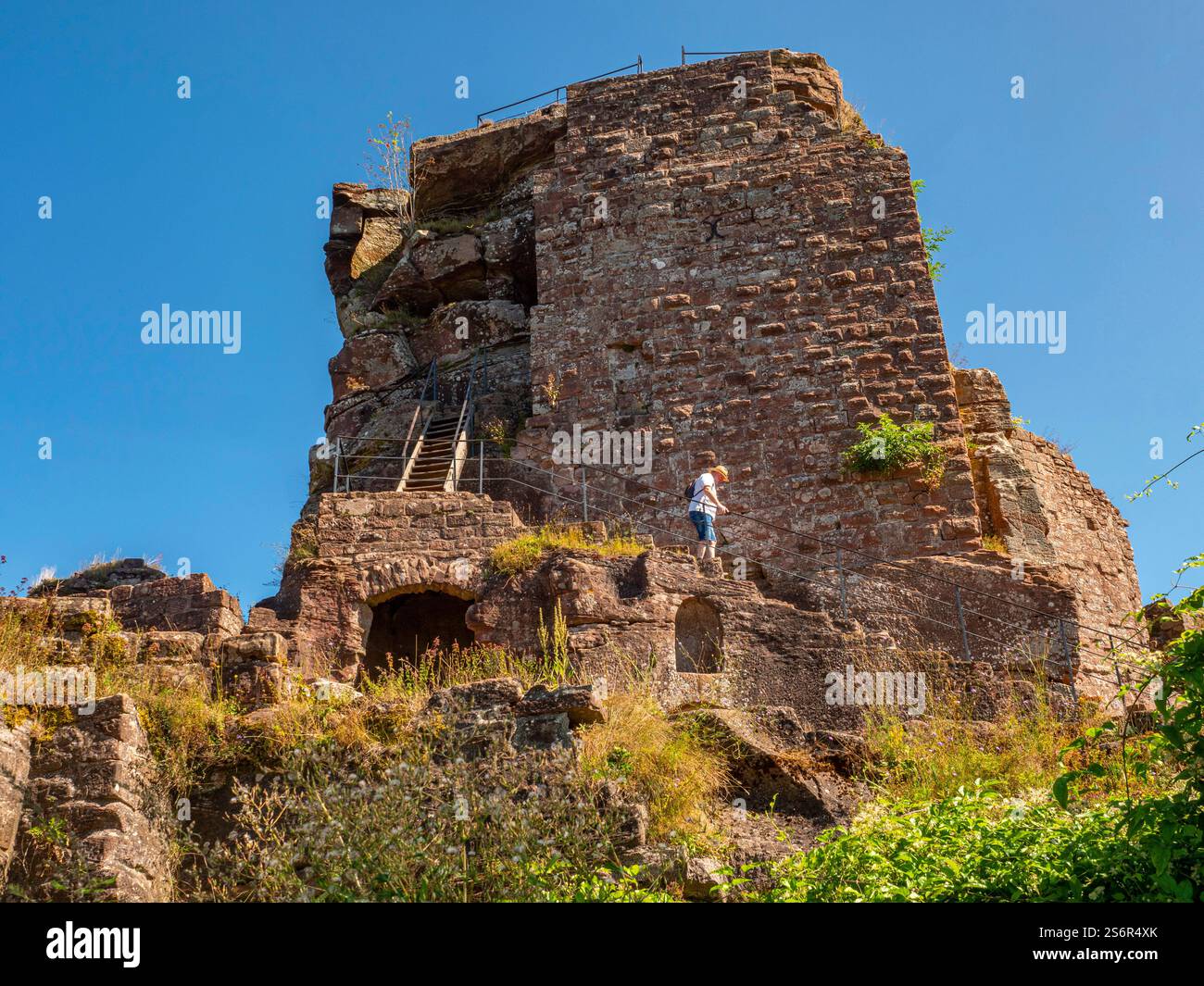 Castello di Hohenbourg, Lembach, Bas-Rhin, Alsazia, Vosgi, Grand Est, Alsazia-Champagne-Ardenne-Lorena, Francia Foto Stock Castello di Hohenbourg, Lembach, Bas-Rhin, Alsazia, Vosgi, Grand Est, Alsazia-Champagne-Ardenne-Lorena, Francia Foto Stock