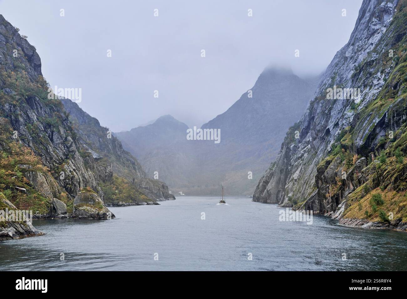 Naviga lungo la costa della Norvegia, l'arcipelago delle Lofoten, lo stretto canale nel Trollfjord, scogliere ripide, nebbia Foto Stock