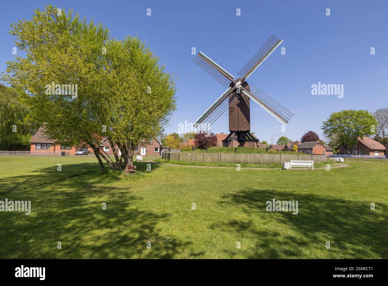 Mulino a vento a Papenburg, distretto di Emsland, bassa Sassonia, Germania Foto Stock